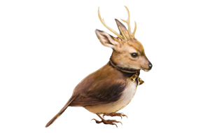 DeerBird.png